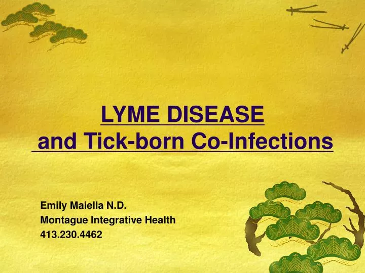 lyme disease and tick born co infections