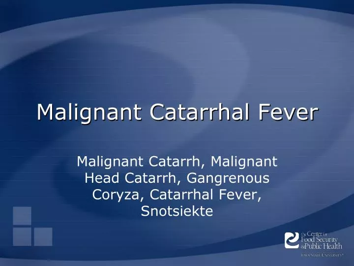 malignant catarrhal fever