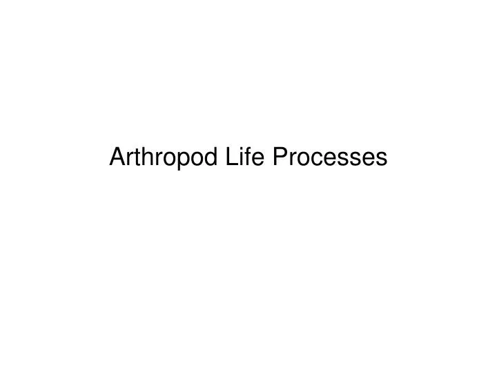 arthropod life processes