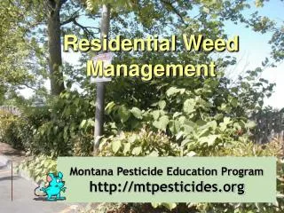 Montana Pesticide Education Program http://mtpesticides.org