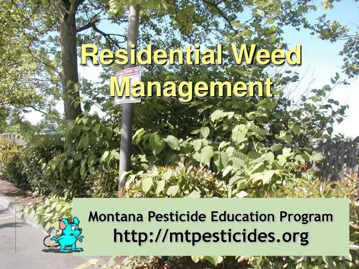 montana pesticide education program http mtpesticides org