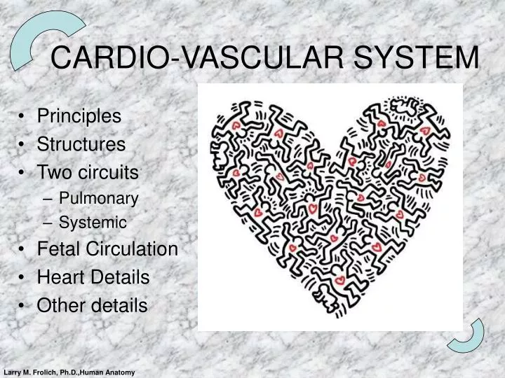 cardio vascular system