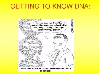 GETTING TO KNOW DNA: