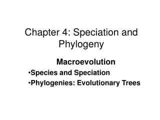 Chapter 4: Speciation and Phylogeny