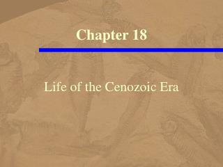 Life of the Cenozoic Era