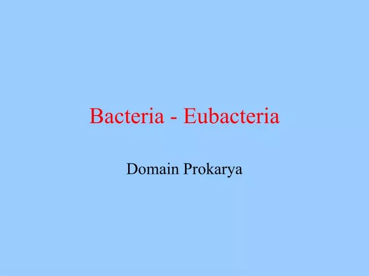 bacteria eubacteria