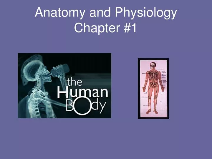 anatomy and physiology chapter 1