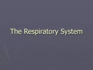 The Respiratory System