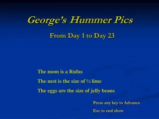 George’s Hummer Pics