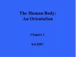 The Human Body: An Orientation - slide 1