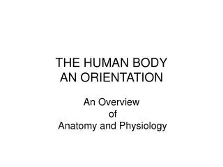 THE HUMAN BODY AN ORIENTATION