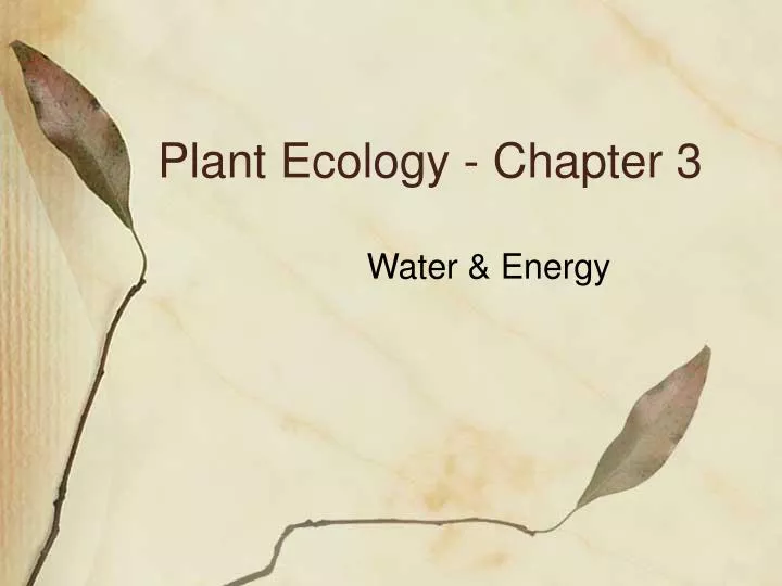 plant ecology chapter 3