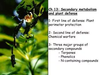 Ch 13: Secondary metabolism and plant defense 1- First line of defense: Plant perimeter protection 2- Second line of def