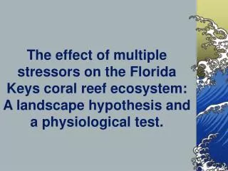 The effect of multiple stressors on the Florida Keys coral reef ecosystem: A landscape hypothesis and a physiological t