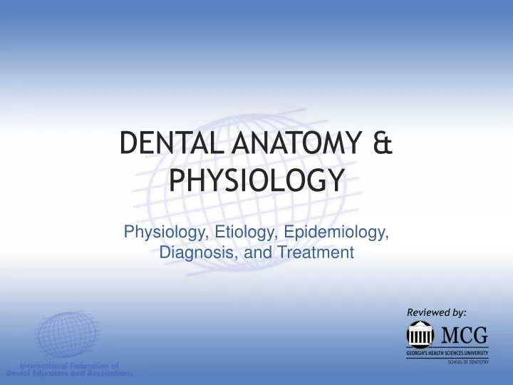 dental anatomy physiology