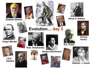 Evolution… day 2