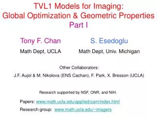 TVL1 Models for Imaging: Global Optimization &amp; Geometric Properties Part I