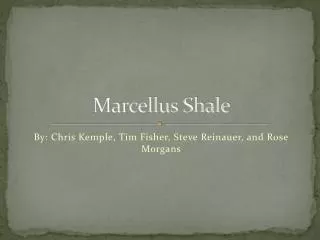 Marcellus Shale