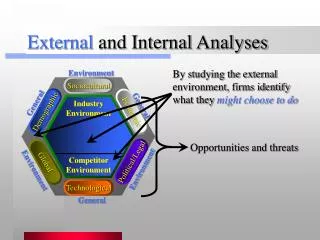 External and Internal Analyses