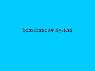 Sensorimotor System
