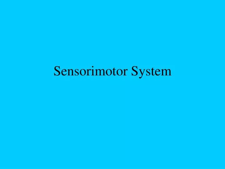 sensorimotor system