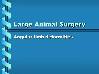 Large Animal Surgery