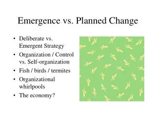 Emergence vs. Planned Change