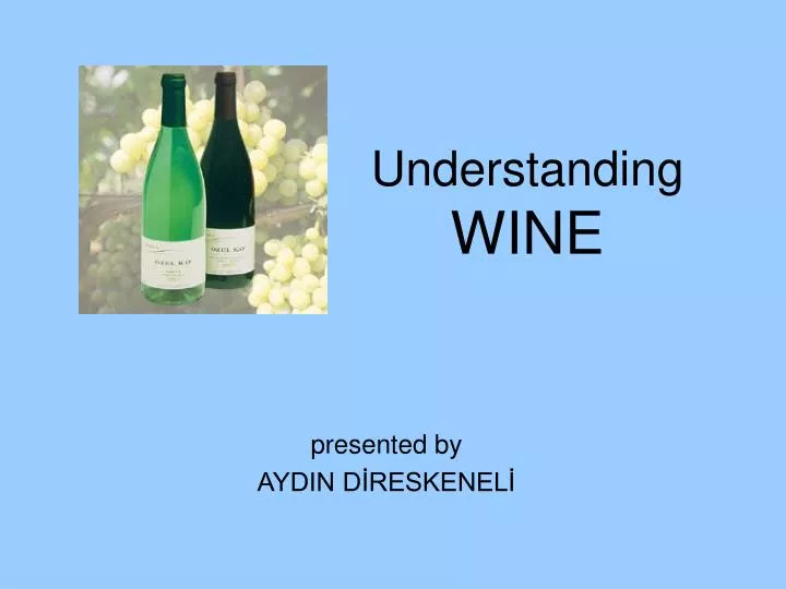 understanding wine