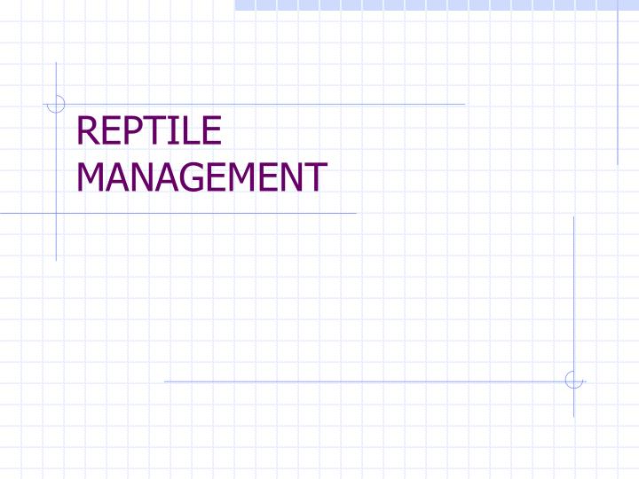 reptile management