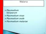 Plasmodium falciparum Plasmodium vivax Plasmodium ovale Plasmodium malariae