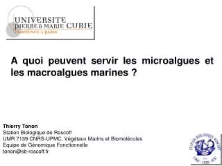 A quoi peuvent servir les microalgues et les macroalgues marines ?
