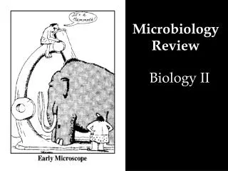 Microbiology Review