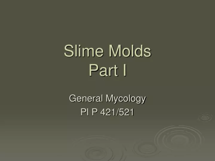 slime molds part i