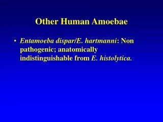 Other Human Amoebae