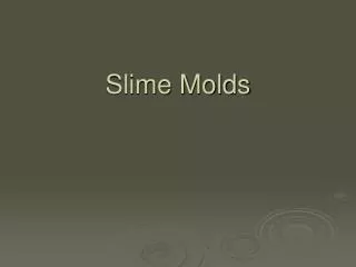 Slime Molds