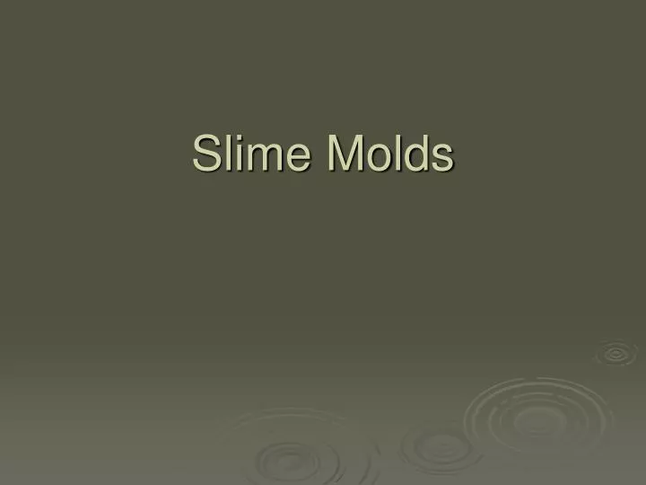 slime molds