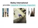 Industrial Chimney Inspection