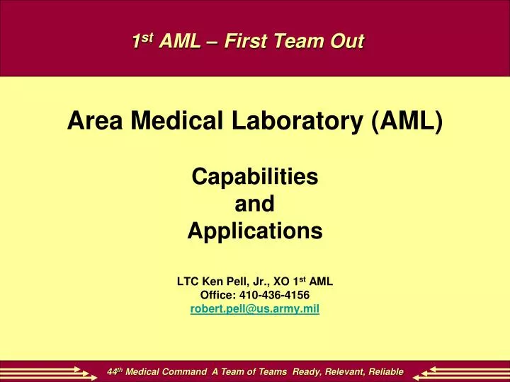 1 st aml first team out