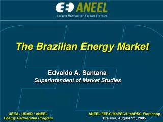 The Brazilian Energy Market