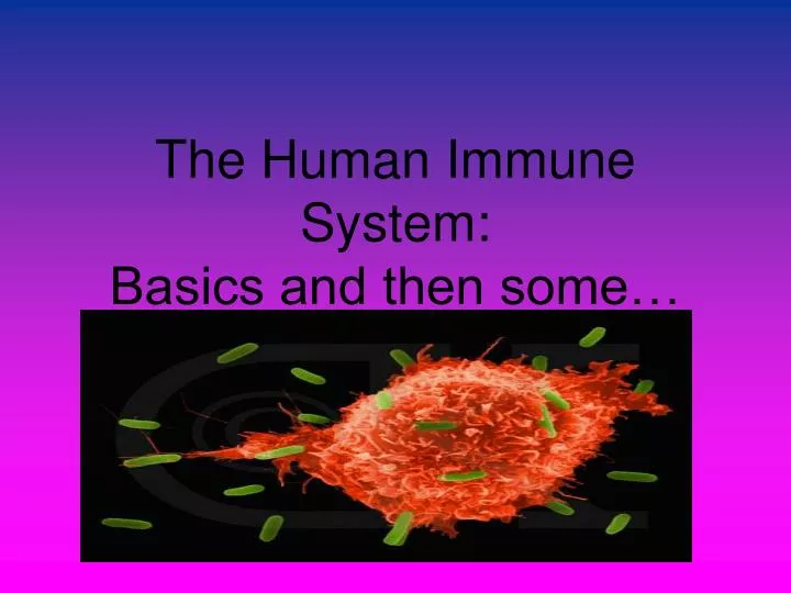 the human immune system basics and then some