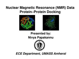 Nuclear Magnetic Resonance (NMR) Data Protein–Protein Docking