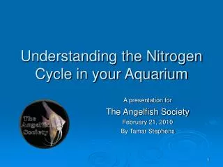 Understanding the Nitrogen Cycle in your Aquarium