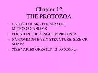 Chapter 12 THE PROTOZOA