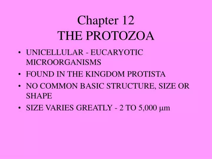 chapter 12 the protozoa