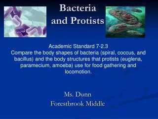 Bacteria and Protists