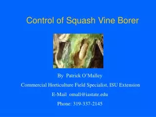 Control of Squash Vine Borer