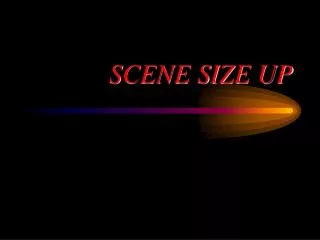 SCENE SIZE UP