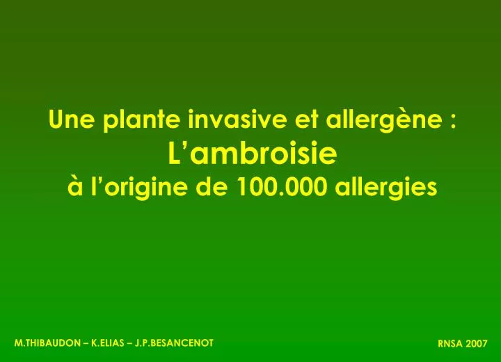 une plante invasive et allerg ne l ambroisie l origine de 100 000 allergies