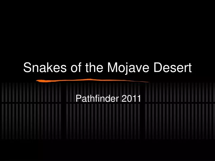 snakes of the mojave desert
