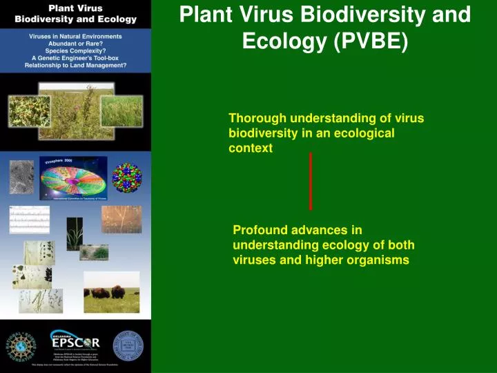 plant virus biodiversity and ecology pvbe